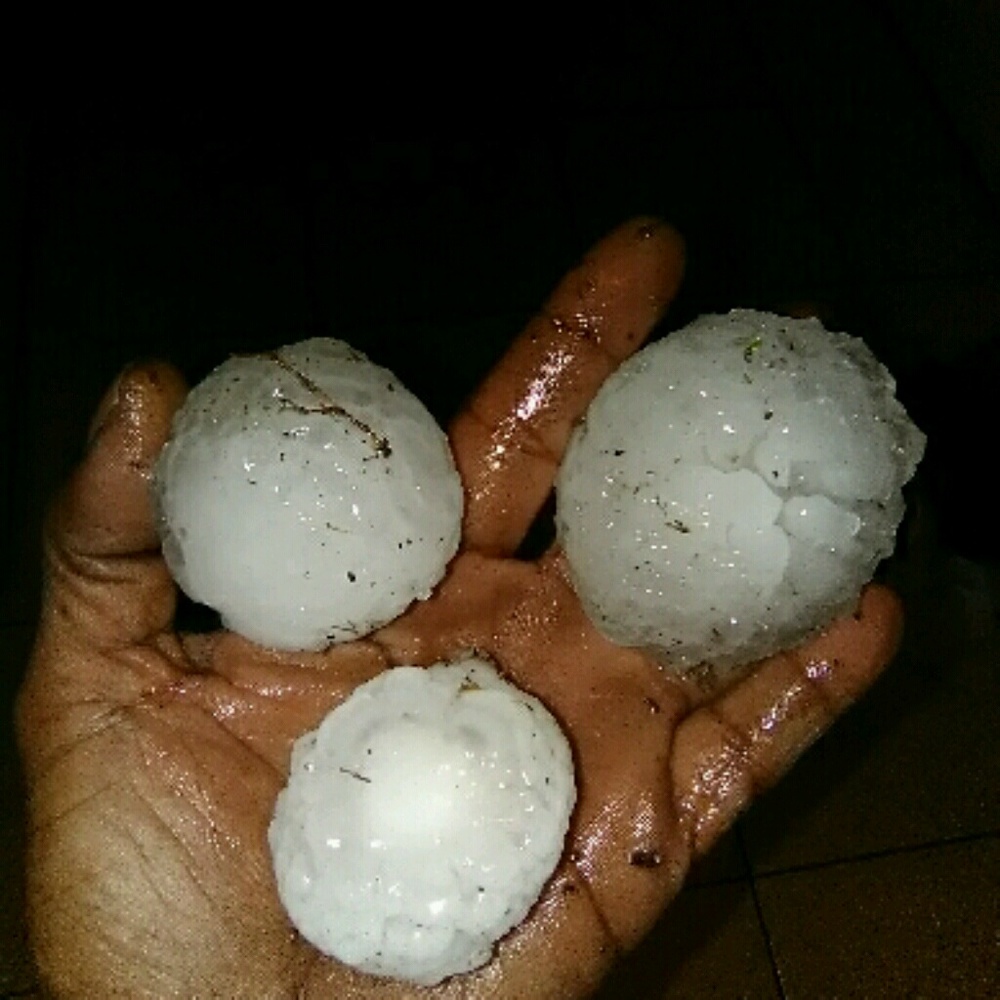 Meet your Posher, Irma